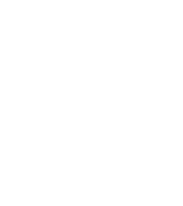 Logo Mister B