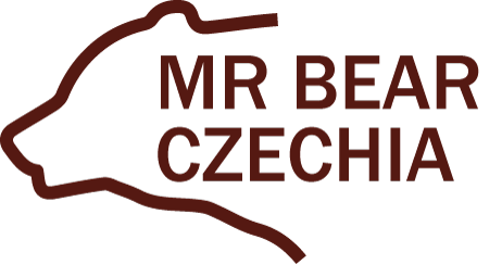 Bear Czechia Logo
